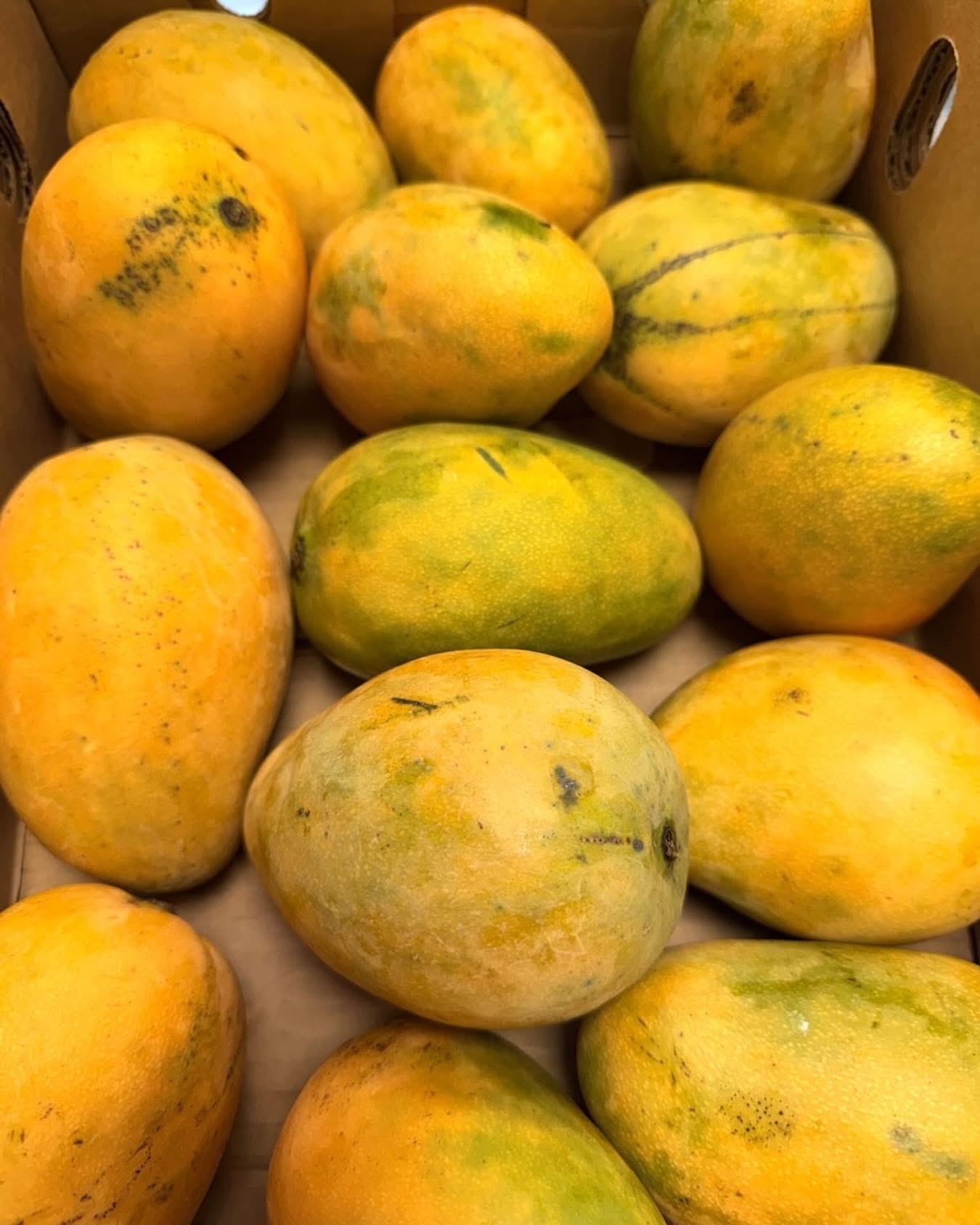 Duud African food Dublin Ireland vegetable