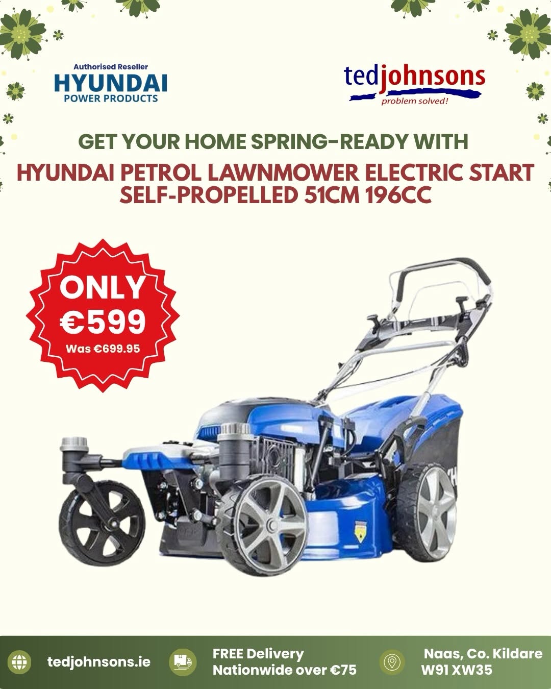 Ted Jhonson Hardware shop Naas County Kildare Ireland Outdoors. Lawnmore