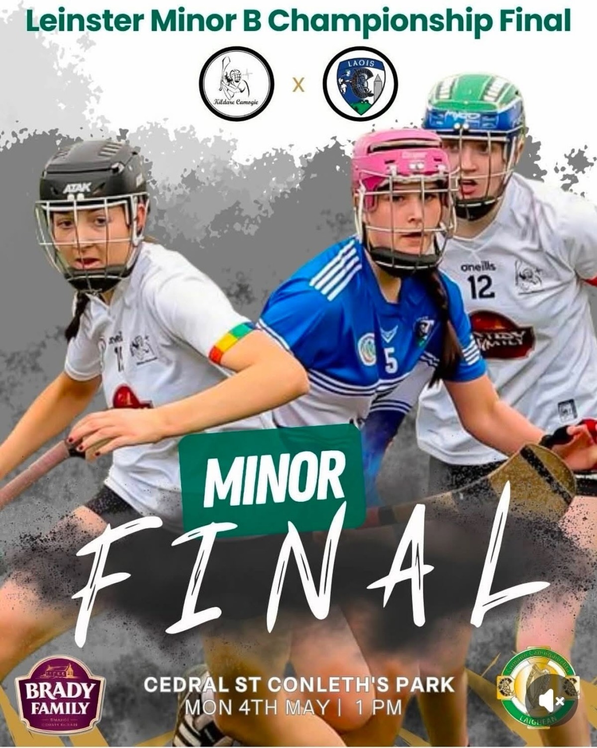 Sallins GAA Club Sallins Co Kildare